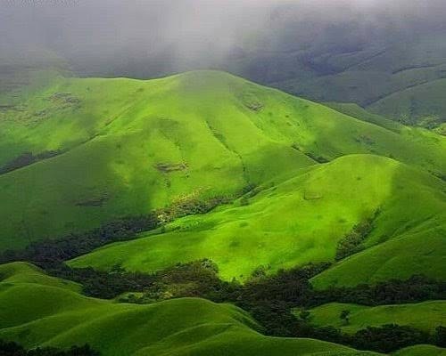 Misty green hills of Chikmagalur coffee country